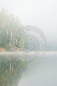 Fog on lake