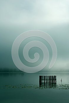 Fog on lake