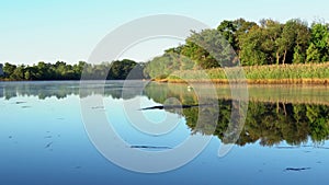 Fog on lake at early morning