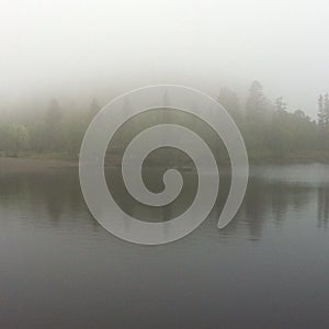 Fog lake forrest