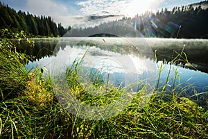 Fog on the lake