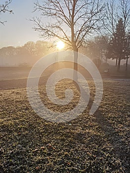 Fog in lake pamvotis of ioannina city greece in winter morning sunrise among leafless  trees