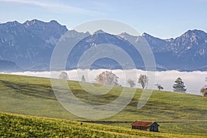 Fog landscape in Allgaeu