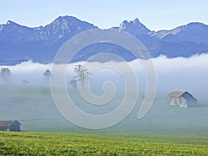Fog landscape in Allgaeu