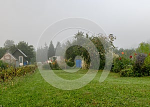 Fog landscape, simple wooden garden house, beautiful flowering garden in autumn morning mist