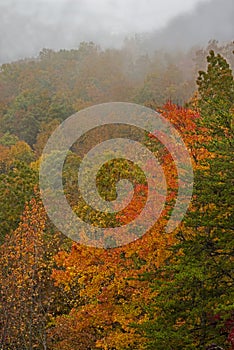 Fog lies over a valley in the Smoky Mountains fall season.