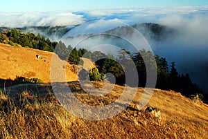Fog lingers in a valley