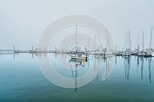 Fog on the Marina