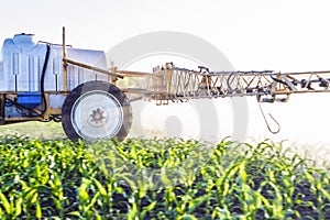 fog from micro fertilizers sprayed with a trailed sprayer on the field of maize