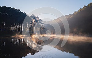 Fog or mist on river lake with forest trees in Pang Ung reservoir, Mae Hong Son, Thailand. Tourist attraction, surrounded by green