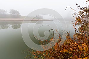 Fog and mist on a wild river