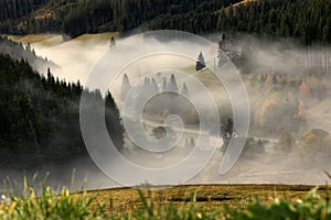 Fog in the morning over Black Forest, Germany