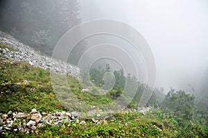 Fog on a mountain valley