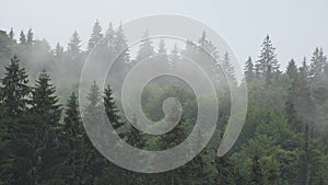 Fog in Mountains, Clouds Rainy Day, Cloudy Mystical Foggy Forest,Stormy Mist Haze Smoke, Alpine Wood Overcast Landscape Timelapse