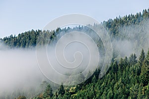 Fog in the mountains in early morning