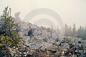 Fog and mountains in the morning with mystic light in the fjords of New Zealand. Green slope and cloudy peak.