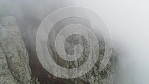 Fog on mountainside. Shot. Diagonal mountainside with trees in fog close up. Dense fog envelops entire space of slope