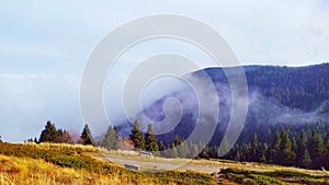 Fog mountin trees sunny day jesen jutro iznad kopaonika fog magla vilage selo planina