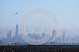 Fog moves back to reveal bay city skyline