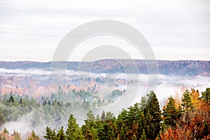 Fog moving above forest in autumn, beautiful nature