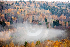 Fog moving above forest in autumn, beautiful nature