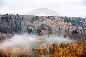 Fog moving above forest in autumn, beautiful nature