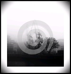 Fog niebla monocromo black & White