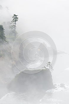 Fog obscures the Oregon Coast with rocks and fir trees