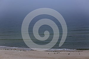 Fog on the ocean photo