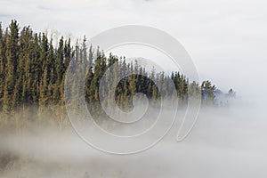 Fog in Orendain, Tolosaldea, Gipuzkoa