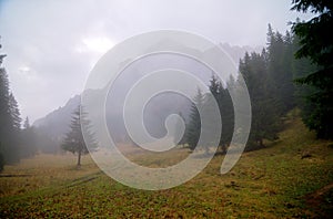 Fog over Bucegi Mountains