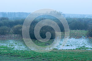 Fog over the bushes over the flooded meadow, Zarzecze, Poland