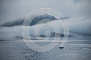 Fog over coastline, Ketchikan, Alaska