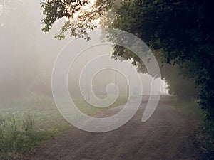 Fog over country road at sunrise in summer