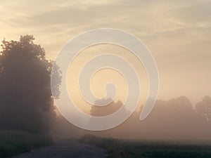 Fog over country road at sunrise in summer