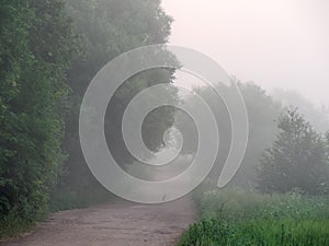 Fog over country road at sunrise in summer