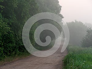 Fog over country road at sunrise in summer