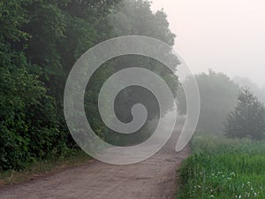 Fog over country road at sunrise in summer