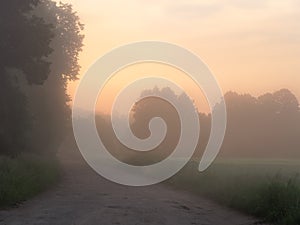 Fog over country road at sunrise in summer