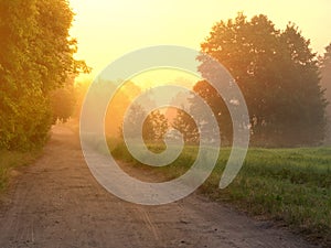 Fog over country road at sunrise in summer