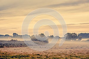 Fog over a countryside landscape