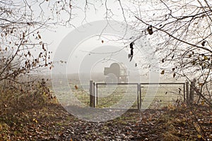 fog over the field, cold morning, late autumn in park