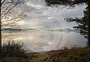 Fog over the fjord in Kristiansand, with trees and grass in front