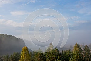 Fog over the forest early in the morning