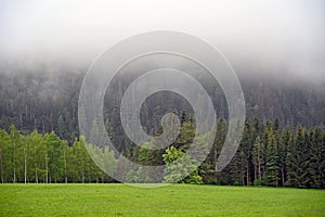 Fog over the forest, morning in Styrian