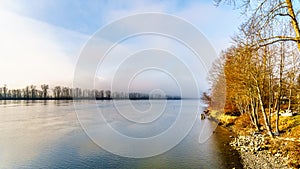 Fog over the Fraser River viewed from the Trans Canada Trail near the Bonson Community in Pitt Meadows