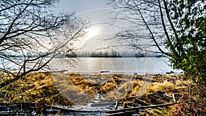 Fog over the Fraser River viewed from the Trans Canada Trail near the Bonson Community in Pitt Meadows