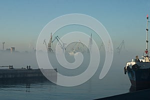 Fog over harbor