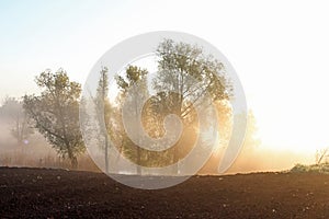 Fog over the lake at sunrise. Lake and trees in dense fog.