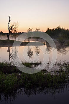 Fog over the lake surface